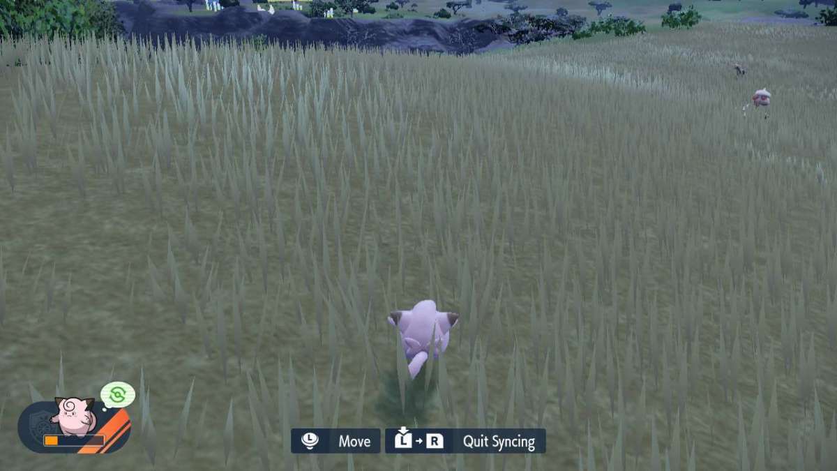 Synchronised view in Pokemon Scarlet and Violet Indigo Disk DLC